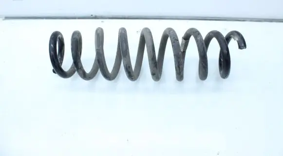Rear coil spring