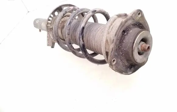 Front shock absorber with coil spring