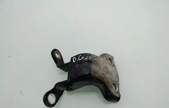Opel Antara Rear door lower hinge