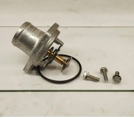 Thermostat/thermostat housing