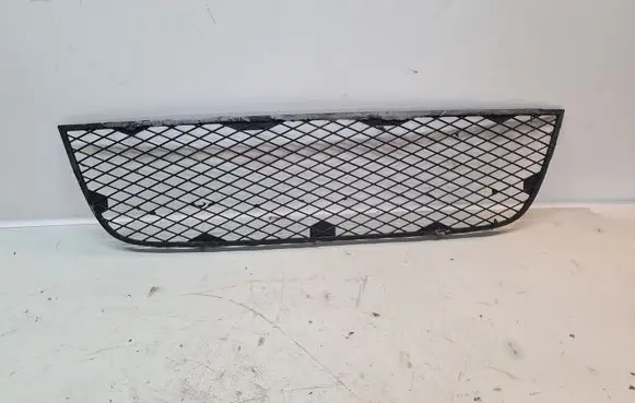 Fiat Doblo Front bumper lower grill