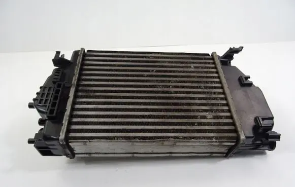 Nissan Qashqai Intercooler radiator 14461-4EB0A