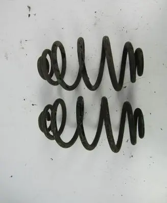 Volkswagen PASSAT B5 Rear coil spring 