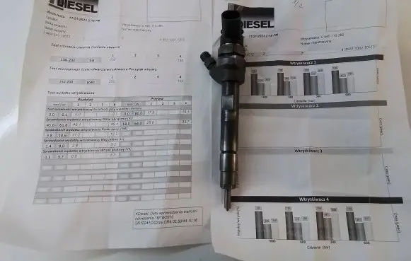 BMW 1 E81 E87 Fuel injector 0445110289