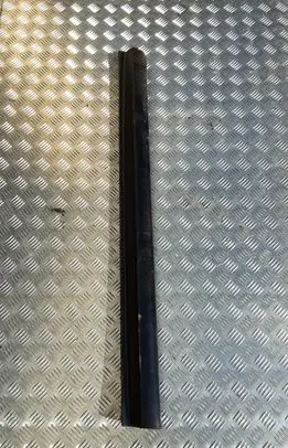 Front door trim (molding)