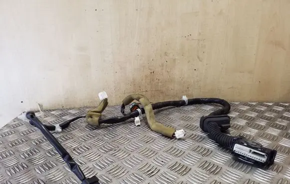 Nissan Juke I F15 Front door wiring loom 241251KK1A