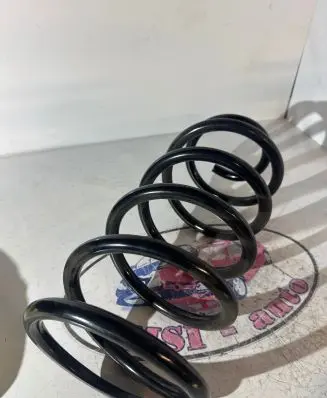 Toyota Land Cruiser (J120) Rear coil spring 482316B050