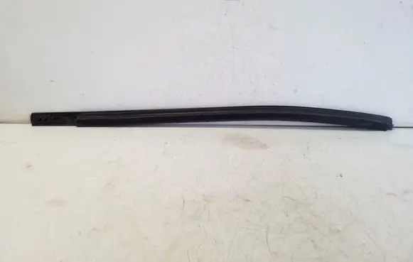 Ford Ranger Rear door glass trim molding