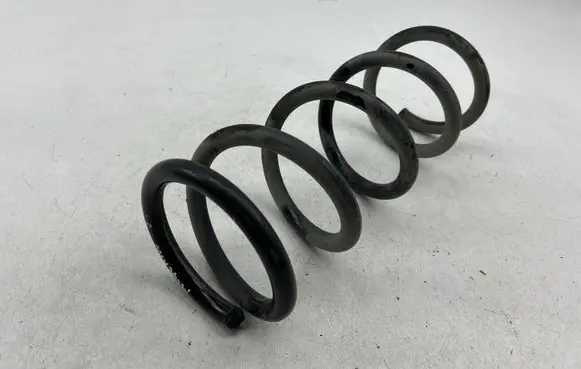 Rear coil spring