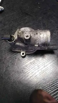 Thermostat/thermostat housing