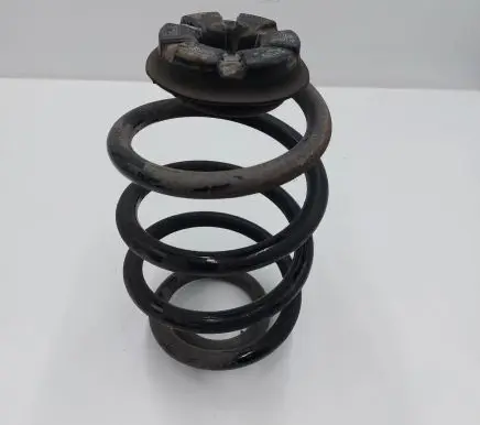 Nissan Leaf II (ZE1) Rear coil spring