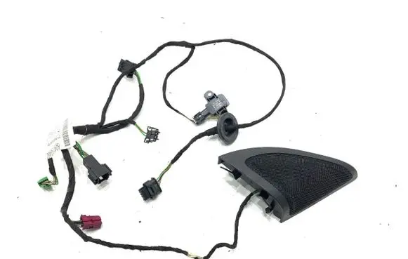 Mercedes-Benz A W176 Front door wiring loom A2465404805