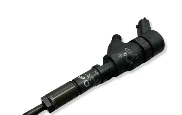 Citroen C5 Fuel injector 0445110076