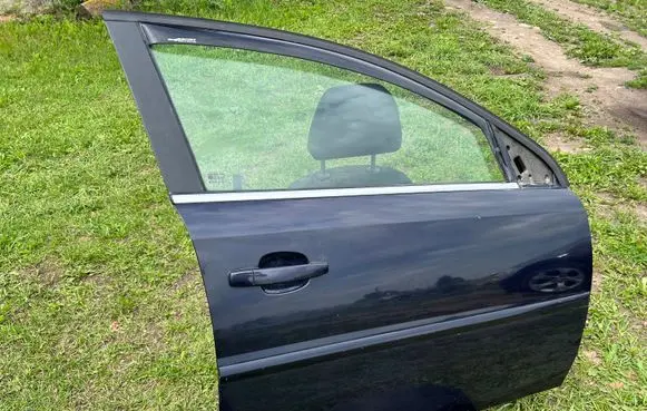 Opel Signum Front door Z21A