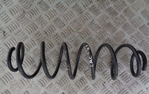 Rear coil spring