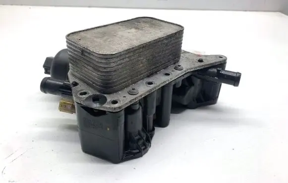 Nissan Qashqai Oil filter mounting bracket 152085948R