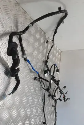 KIA Sportage Tailgate/trunk wiring harness 91680F1030