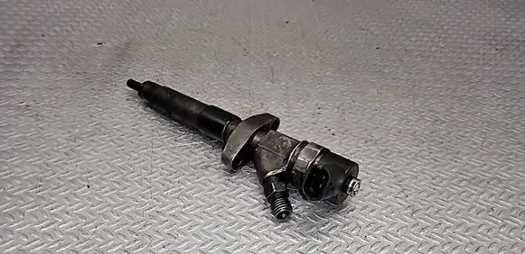 Renault Espace - Grand espace IV Fuel injector 0445110084 8200084534
