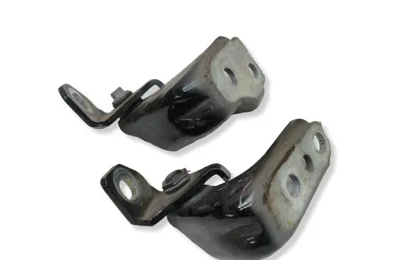 Ford Edge II Front door hinge set 