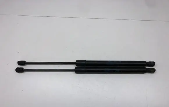 Tailgate/trunk strut/damper