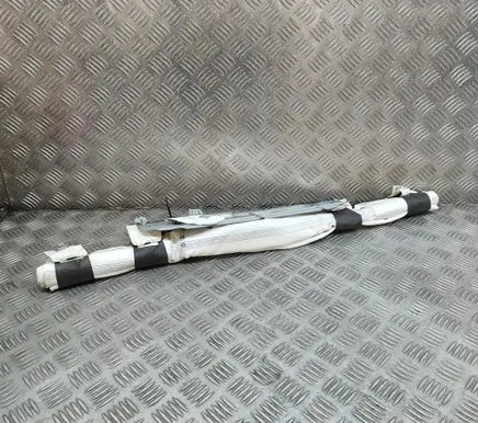 Tesla Model X Roof airbag 103675700H