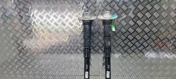 Volkswagen ID.3 Rear shock absorber/damper S25145029 1EA512011AH
