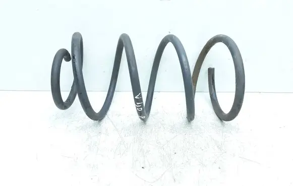 Front coil spring