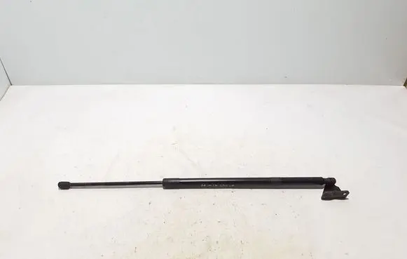 Tailgate strut