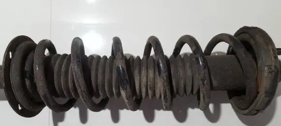 Honda Accord Rear coil spring