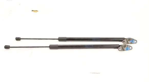 Tailgate strut