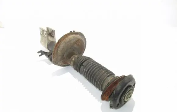 Citroen C4 II Front shock absorber/damper