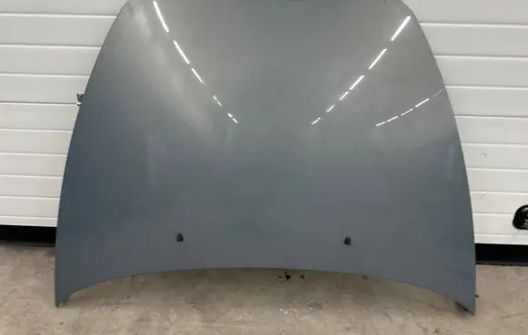 Engine bonnet/hood