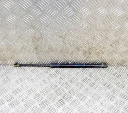 Front bonnet/hood damper/strut