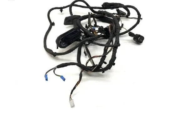 BMW 5 F10 F11 Front door wiring loom 916924103 61139169241