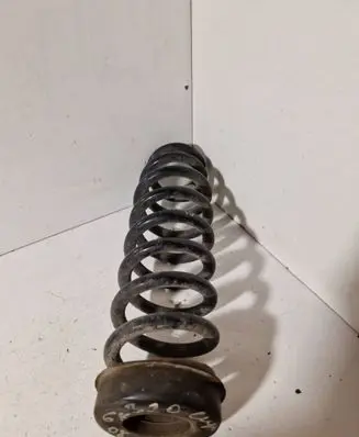 Rear coil spring
