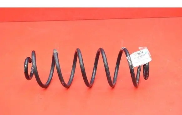 Rear coil spring