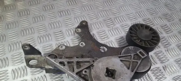 Volvo 850 Generator/alternator belt tensioner 550010
