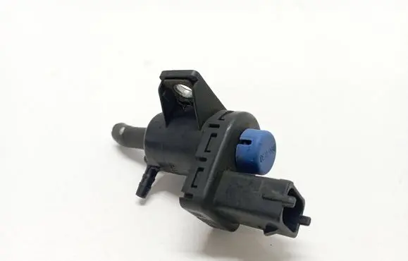 Vacuum valve