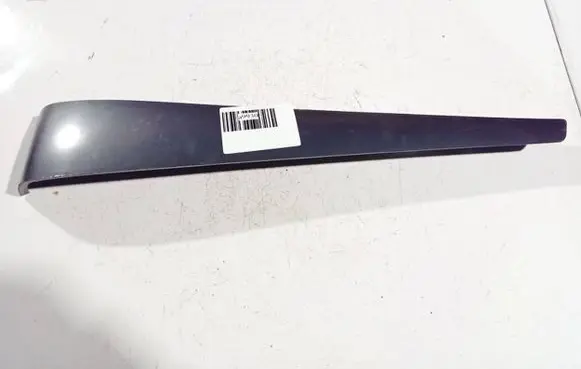 Renault Laguna III Other interior part 684200003r
