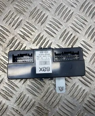 KIA Sorento Other control units/modules 919402P350