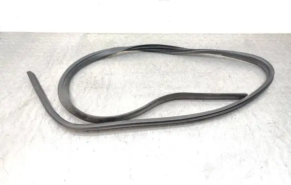 Ford Focus Front door rubber seal BM51A2053