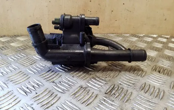 Thermostat/thermostat housing