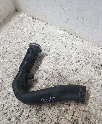 Peugeot 307 Intercooler hose/pipe