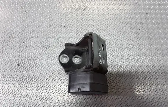 Renault Megane II Rear door lower hinge