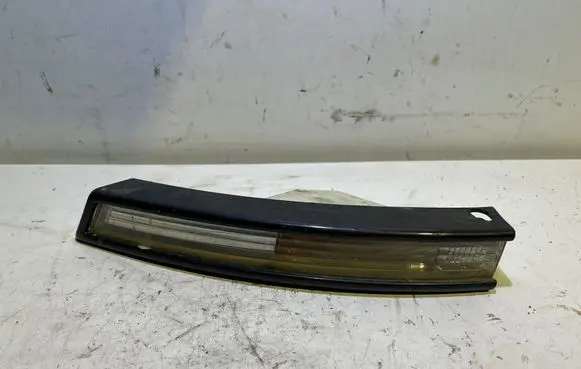 Volkswagen PASSAT B6 Front indicator light 3C0953041E