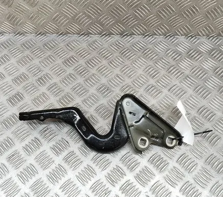 Ford Puma Engine bonnet/hood hinges L1TBS16801AA
