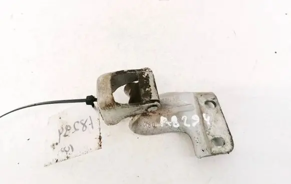 Tailgate/trunk/boot hinge
