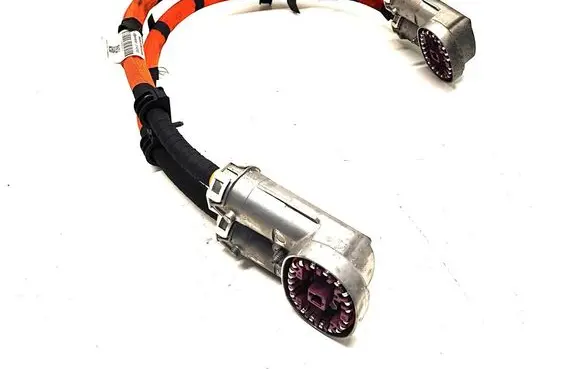 Mercedes-Benz EQE v295 Other wiring loom A2955402814