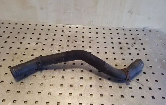 Renault Scenic I Engine coolant pipe/hose