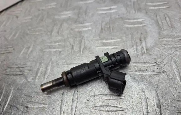Dacia Sandero Fuel injector 166003188R